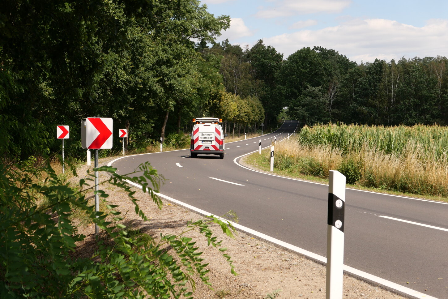 Das Bild zeigt eine Straße nach einer Fahrbahnerneuerung. Die Straße ist umsäumt von Bäumen.